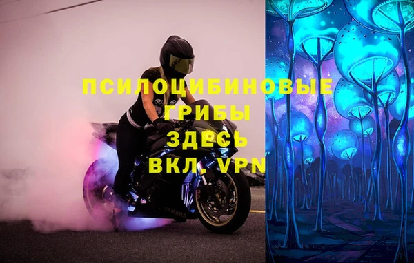 индика Остров