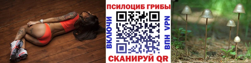 Псилоцибиновые грибы прущие грибы  Среднеуральск 